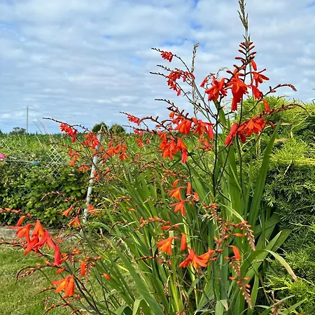 En Cerca De Cabo Penas. Apartament
